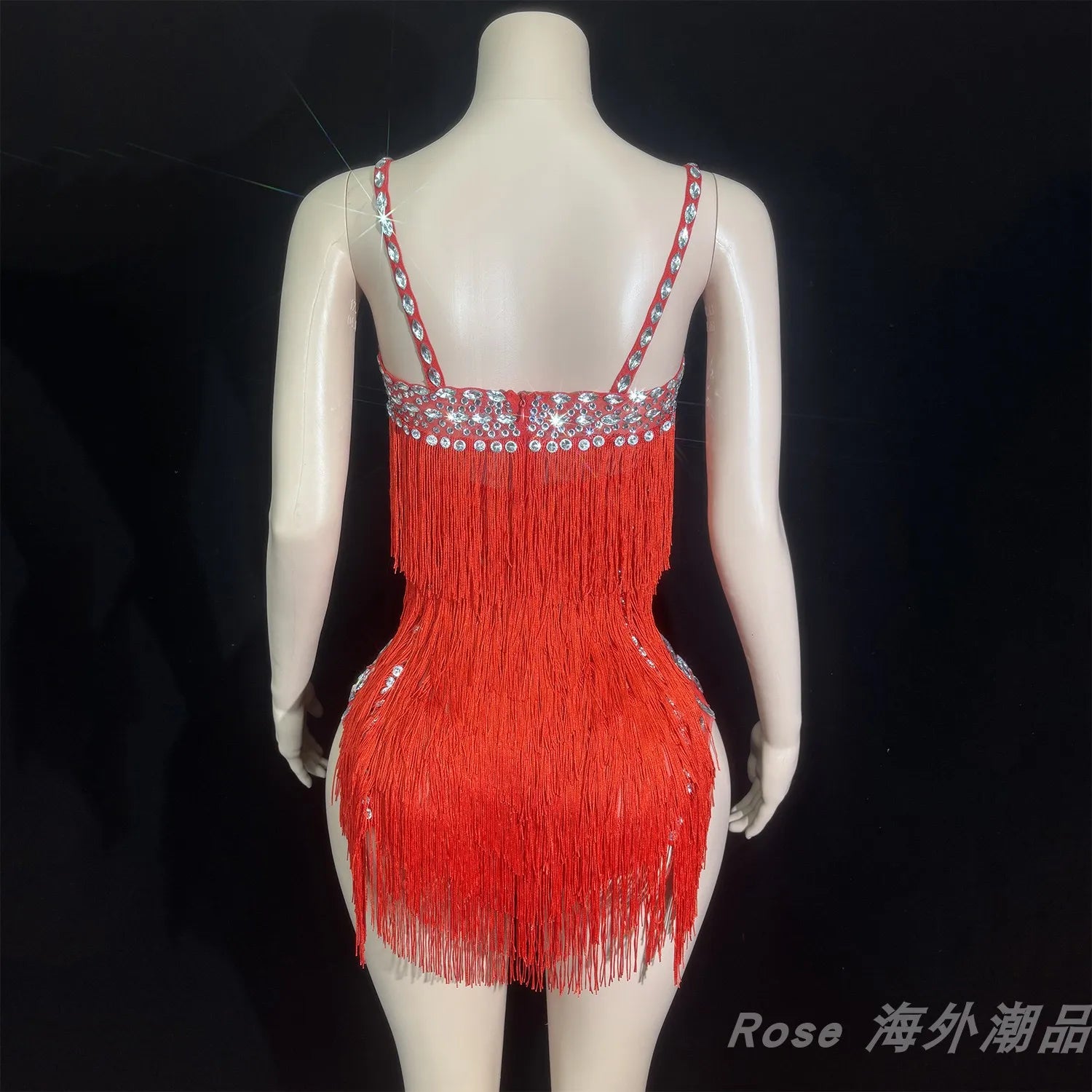 Custom Fringe Rhinestone Bodysuit & Stage Performance Dance Costume