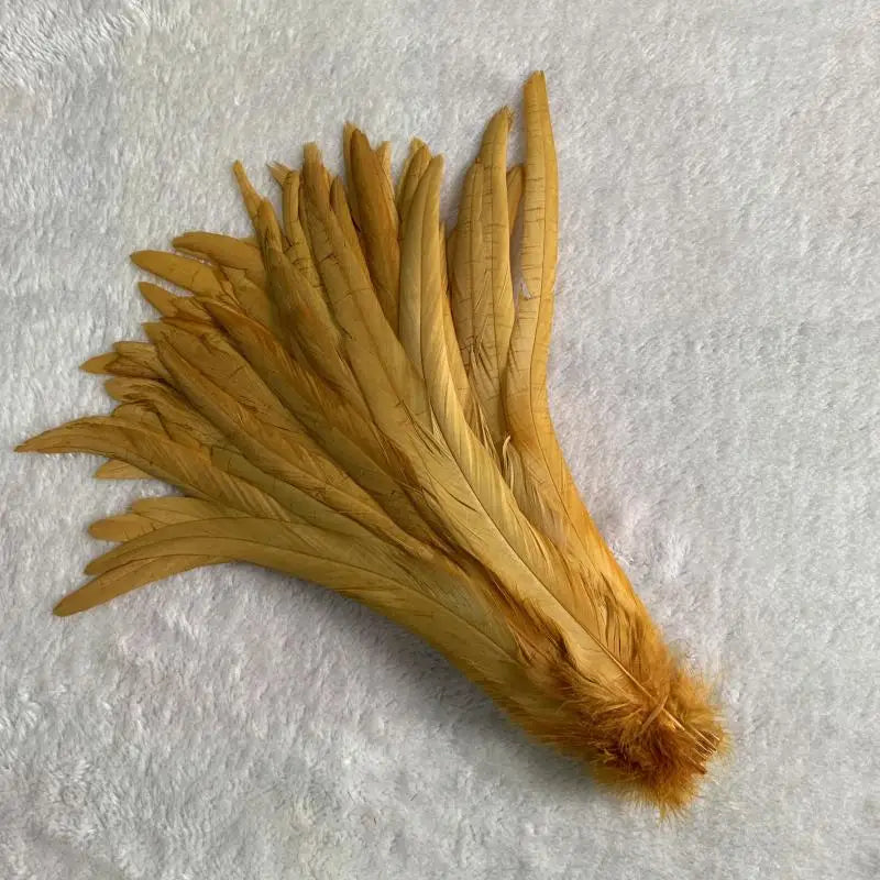Premium Two-Tone Rooster Tail Feather Plumes (100PCS)