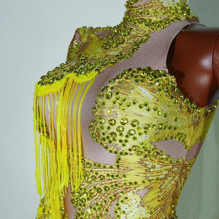 Leopard Sequin Fringe Asymmetrical Bodysuit One-Sleeve Stage Performance Costume