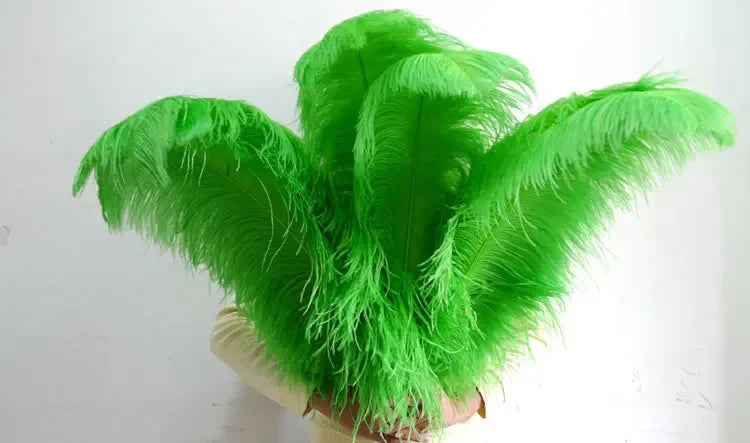 10PC 28-30IN Ostrich Feather Plumes