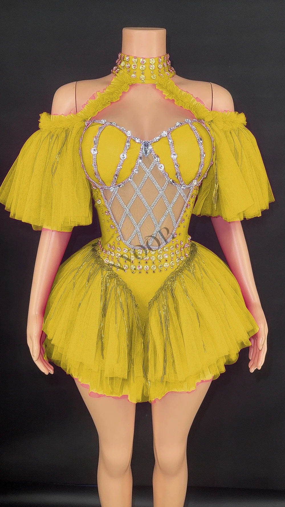 Sparkly Sequin Tassel Puff Sleeve Mesh Bodysuit Showgirl Stage Dance Leotard