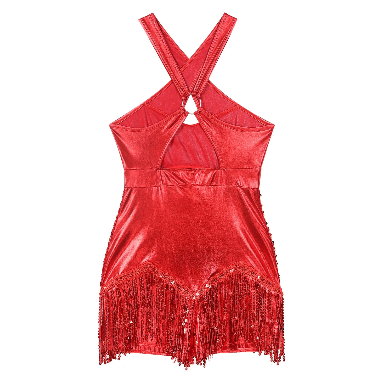 Sequined Fringe Cross-Front Latin Dance Leotard Costume Dress