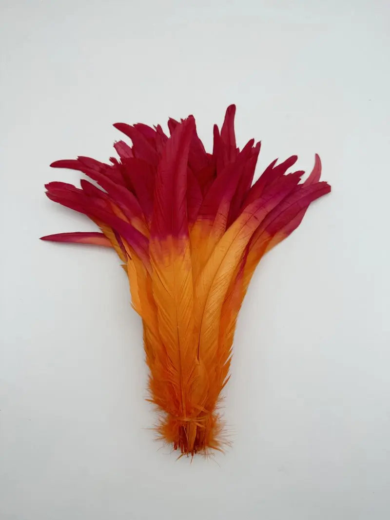 Premium Two-Tone Rooster Tail Feather Plumes (100PCS)