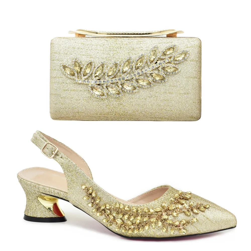 Latest Italian Shoe and Bag Set