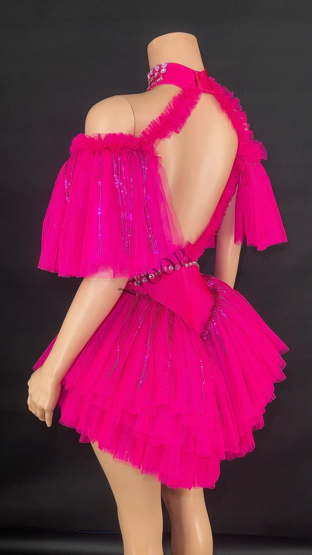 Sparkly Sequin Tassel Puff Sleeve Mesh Bodysuit Showgirl Stage Dance Leotard