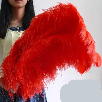 10PC 28-30IN Ostrich Feather Plumes