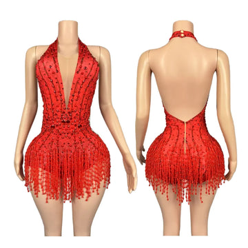 Crystal Rhinestone Fringe Sleeveless Bodysuit & Aerial Dance Leotard Costume