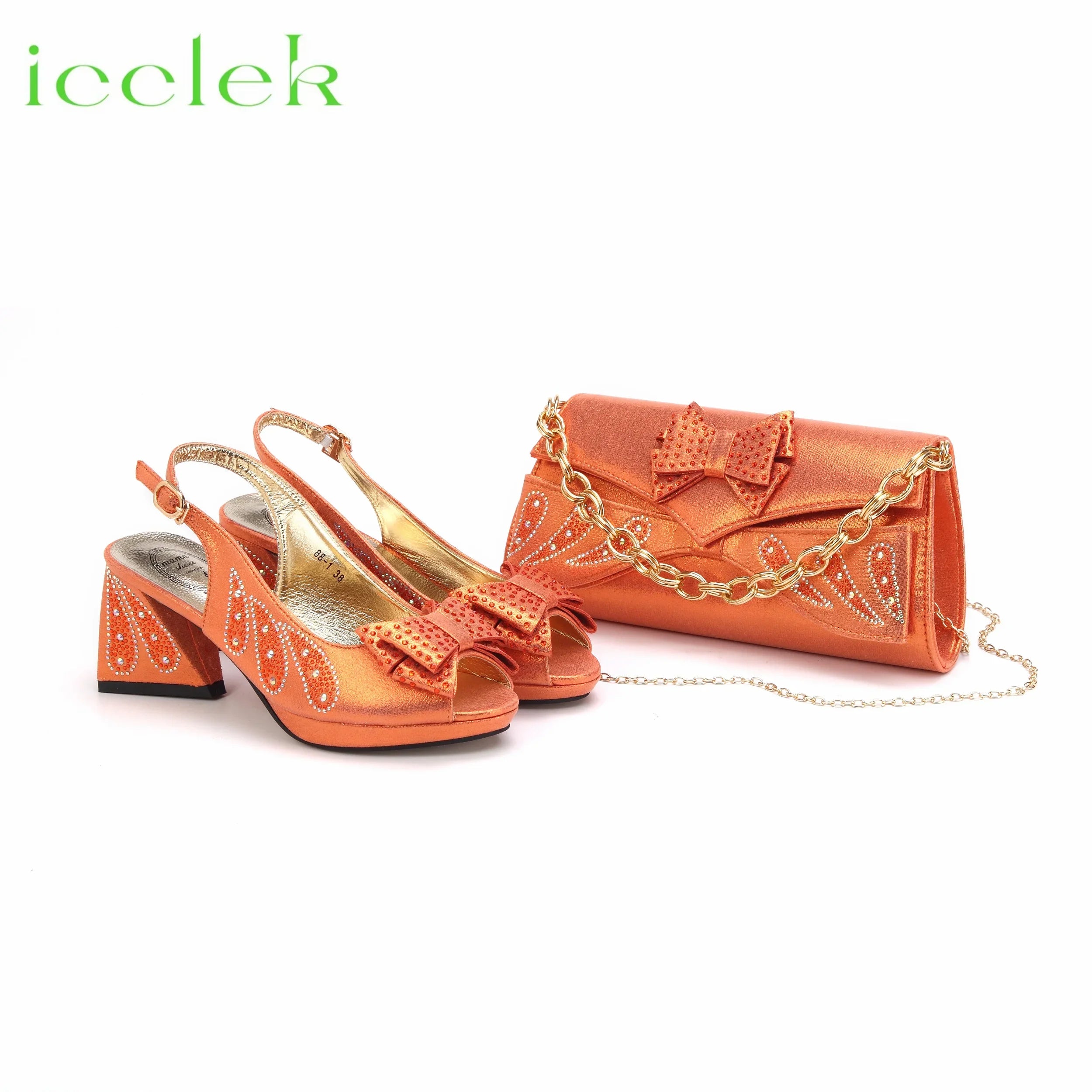Designer Peep Toe Shoes and Bag Set