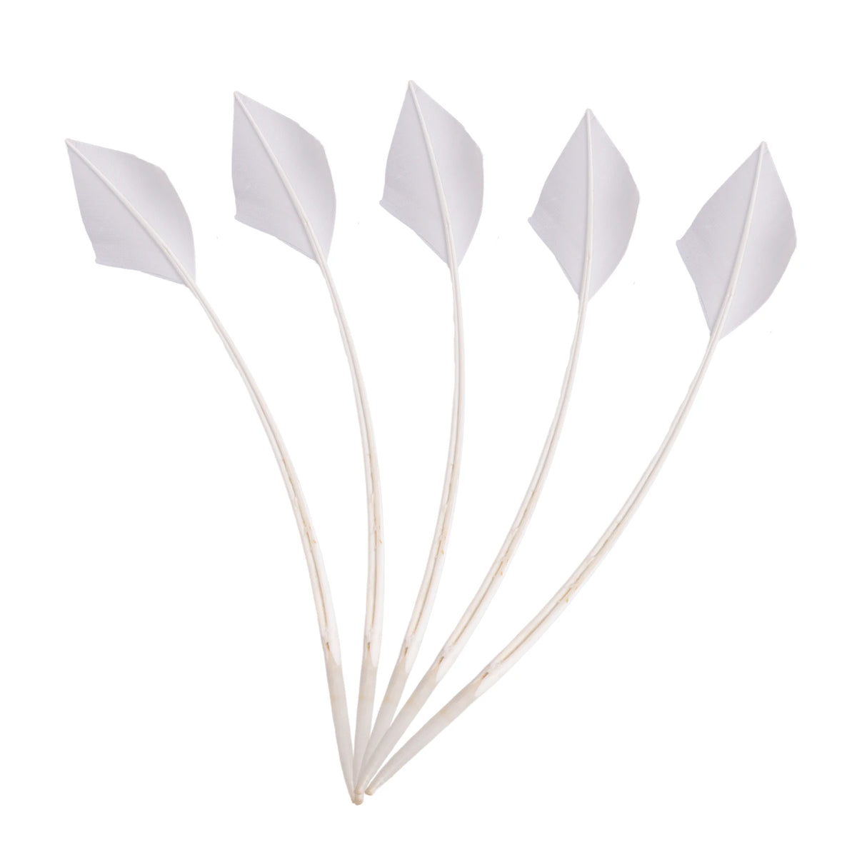 Arrowhead Turkey Feather Quill Trim — 28–33 cm