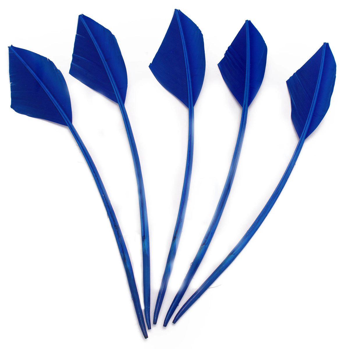 Arrowhead Turkey Feather Quill Trim — 28–33 cm