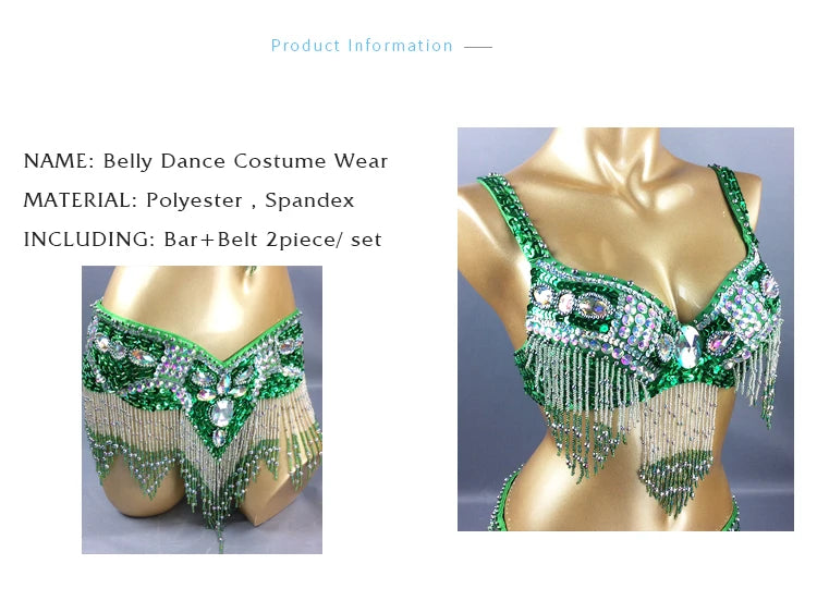 Dazzling Beaded & Sequined Belly Dance Bra & Belt 2-Piece Costume Set