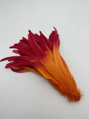 Premium Two-Tone Rooster Tail Feather Plumes (100PCS)