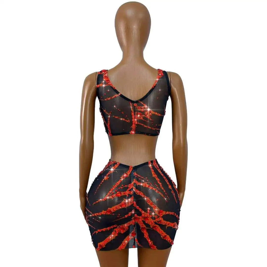 Women's Rhinestone Mesh Dress Set | Shining 2-Piece Stage Costume for Singer, Dancer & Party