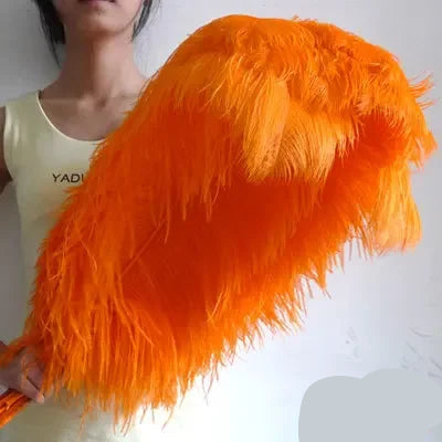 10PC 28-30IN Ostrich Feather Plumes
