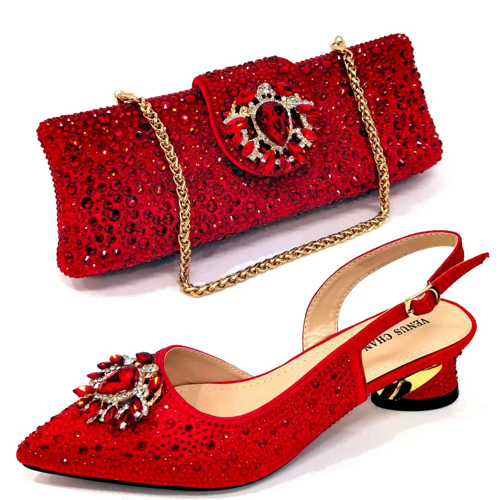 Elegant Champagne Shoes and Bag Set