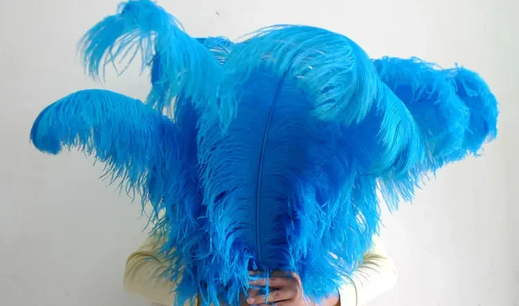 10PC 28-30IN Ostrich Feather Plumes