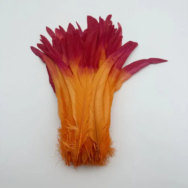 Premium Two-Tone Rooster Tail Feather Plumes (100PCS)