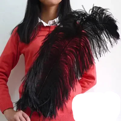 10PC 28-30IN Ostrich Feather Plumes