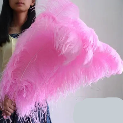 10PC 28-30IN Ostrich Feather Plumes