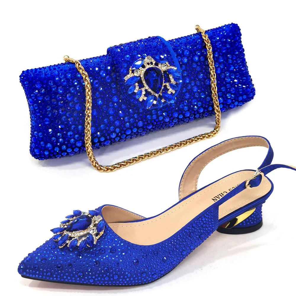 Elegant Champagne Shoes and Bag Set