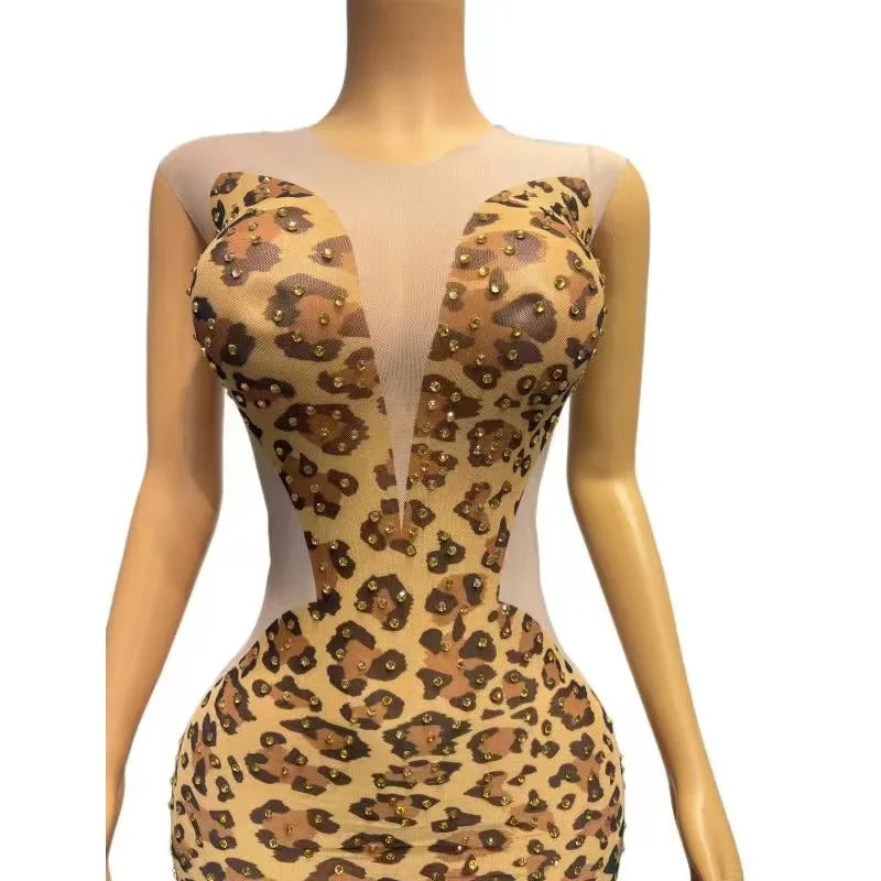 Women's Gold Rhinestone Leopard Print Sheer Dress | Sleeveless Stage & Singer Photoshoot Outfit