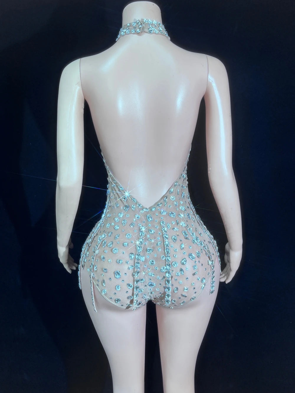 Silver Crystal Halter Illusion Bodysuit Sparkly Backless Rhinestone Stage Leotard