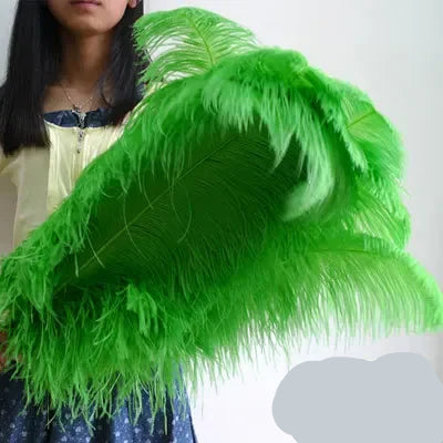 10PC 28-30IN Ostrich Feather Plumes