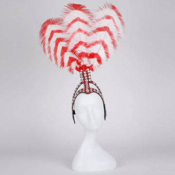 Striped Feather Headdress