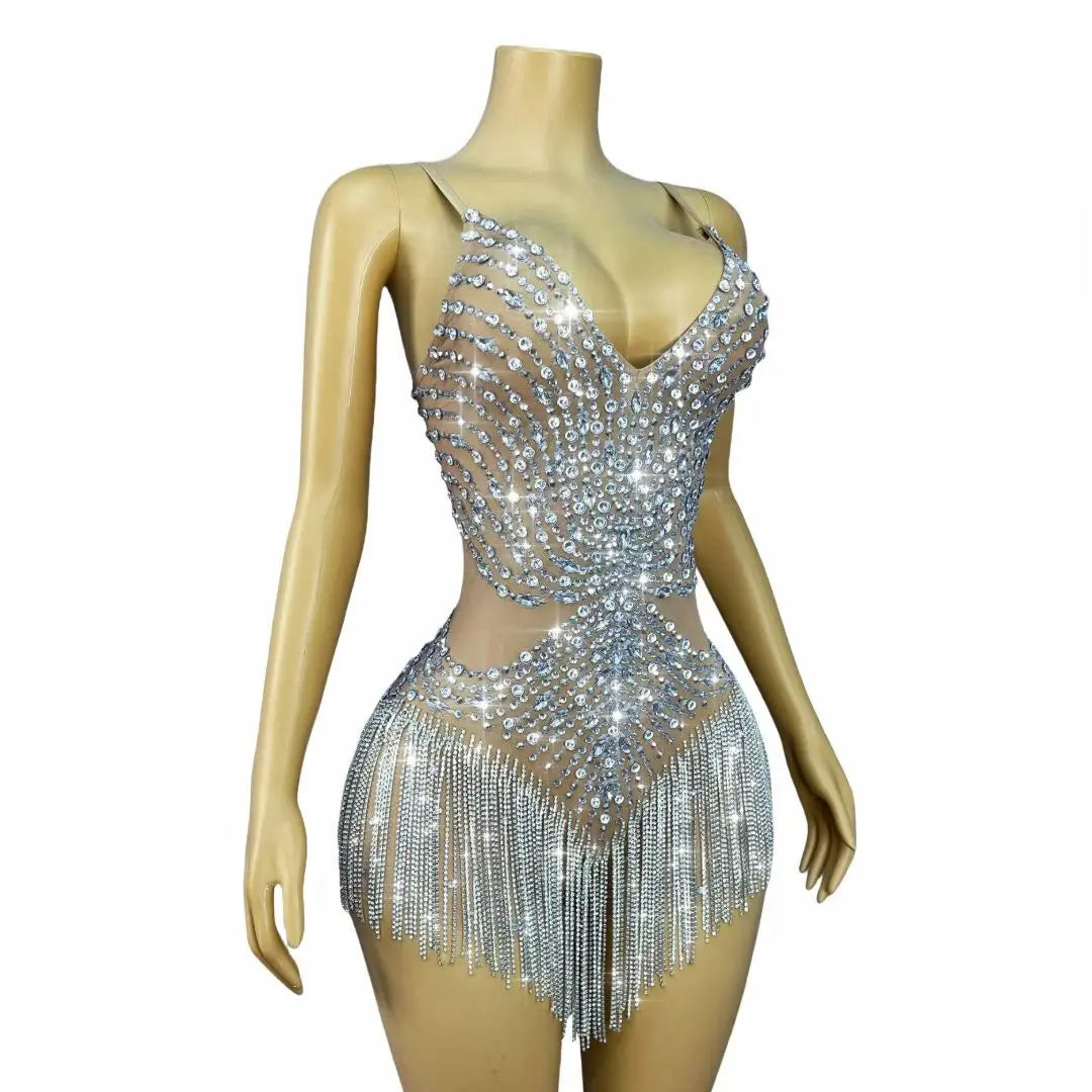 Sparkly Silver Rhinestone Tassel Sheer Mesh Stage Bodysuit Leotard Costume