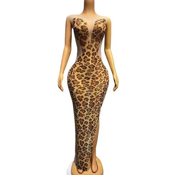 Women's Gold Rhinestone Leopard Print Sheer Dress | Sleeveless Stage & Singer Photoshoot Outfit