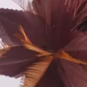25cm Feather Cocktail Fascinator Headband Kentucky Derby Tea Party Pillbox Hat