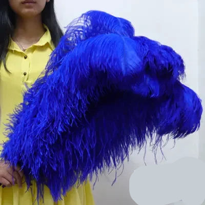 10PC 28-30IN Ostrich Feather Plumes