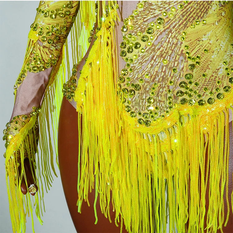 Leopard Sequin Fringe Asymmetrical Bodysuit One-Sleeve Stage Performance Costume