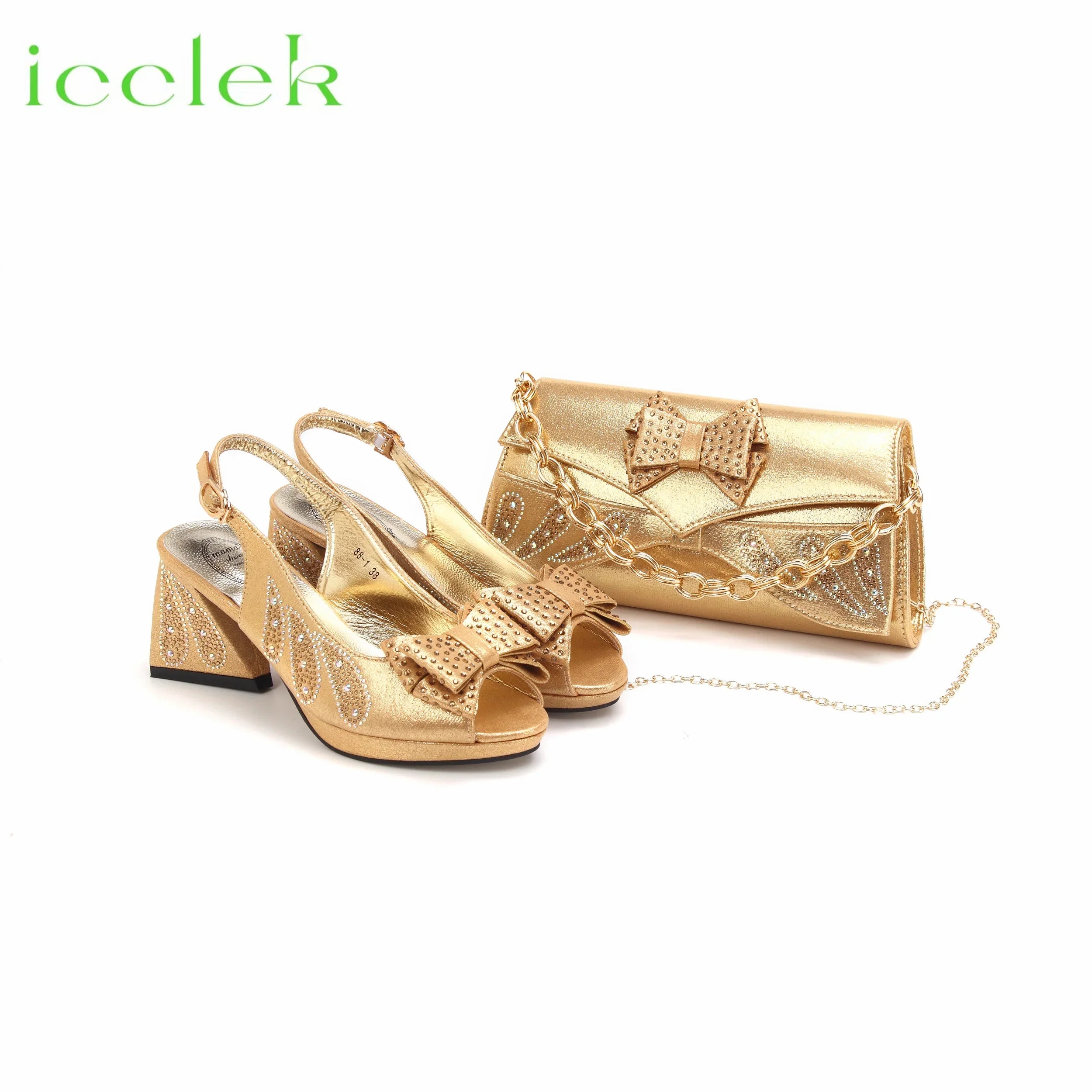 Designer Peep Toe Shoes and Bag Set