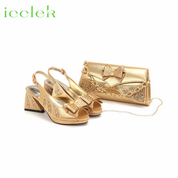 Designer Peep Toe Shoes and Bag Set