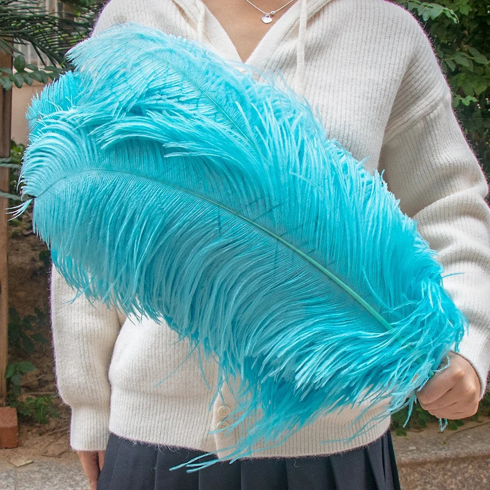 28-30IN Large Decorative Ostrich Feather Plumes