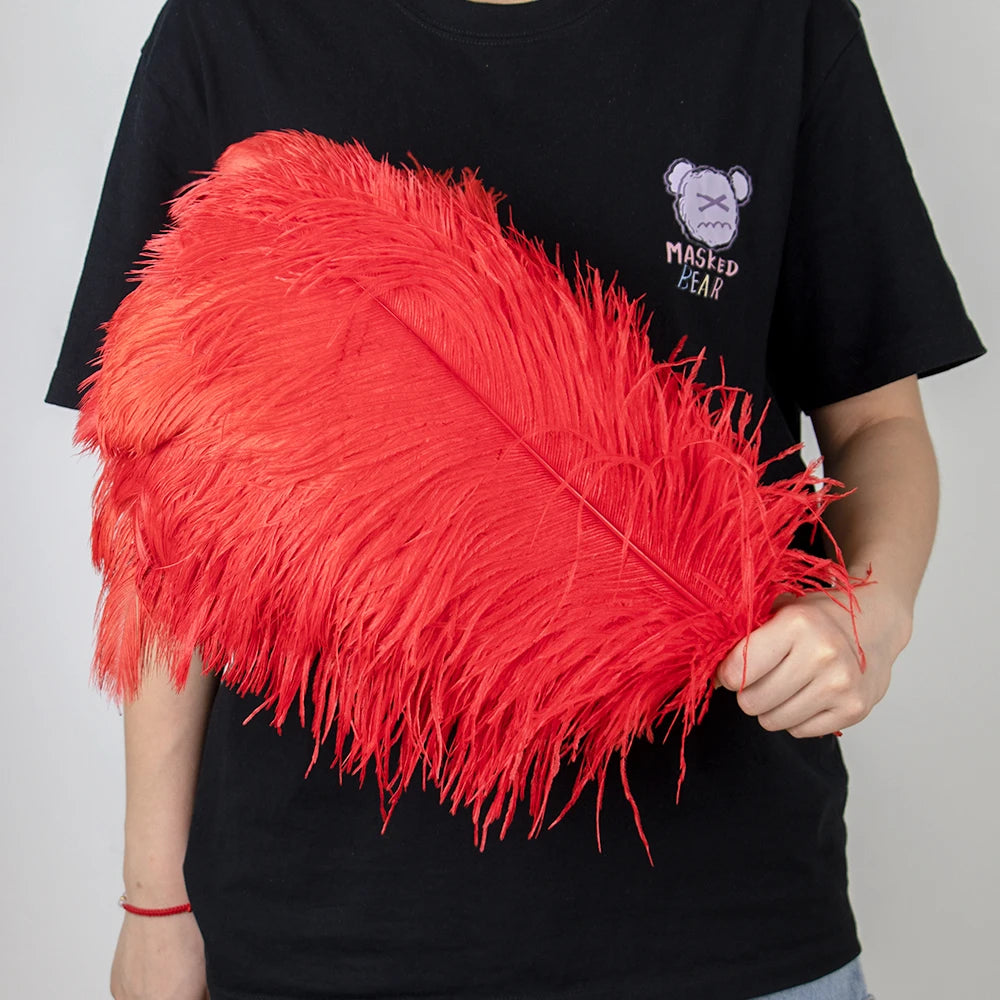 28-30IN Large Decorative Ostrich Feather Plumes