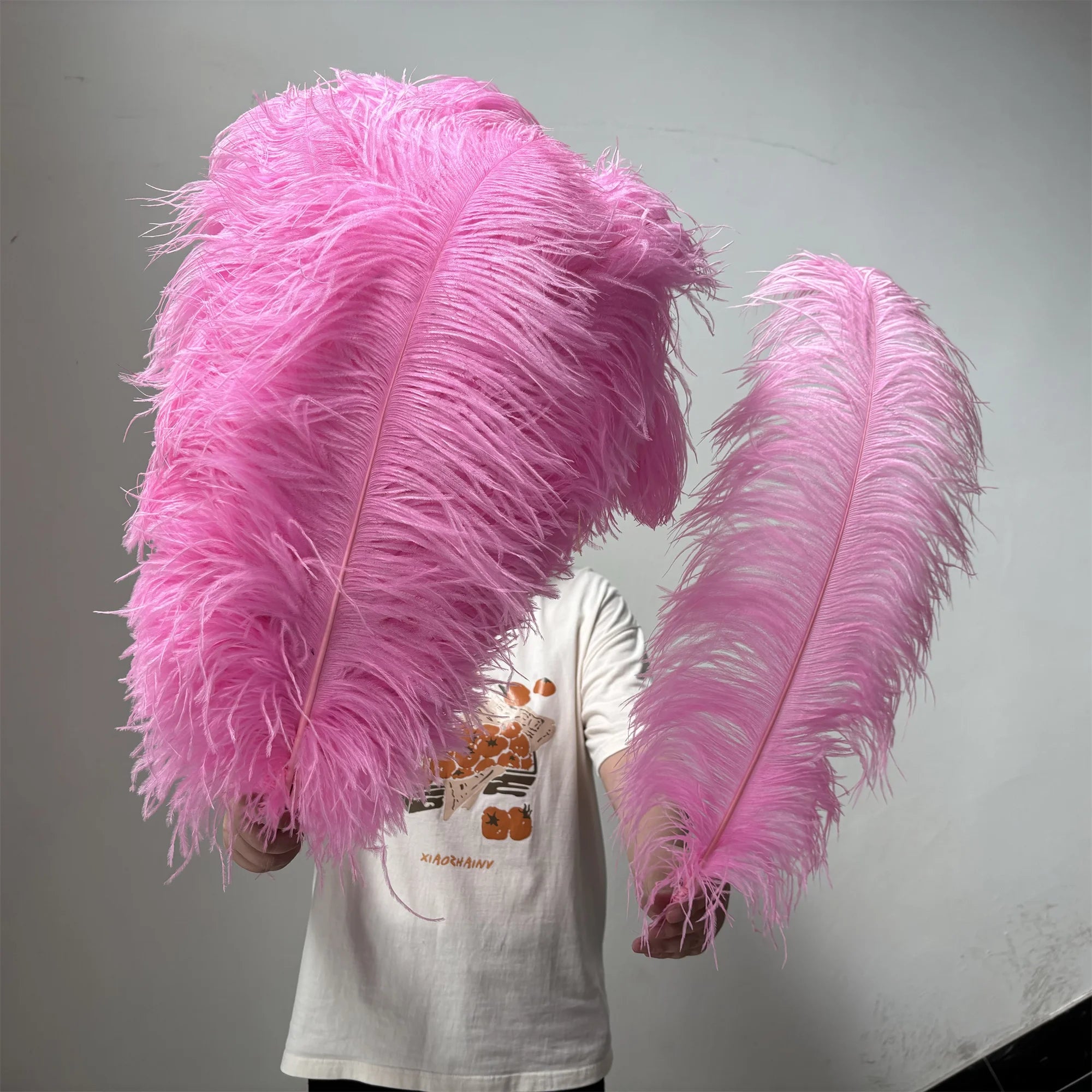 28-30IN Large Decorative Ostrich Feather Plumes