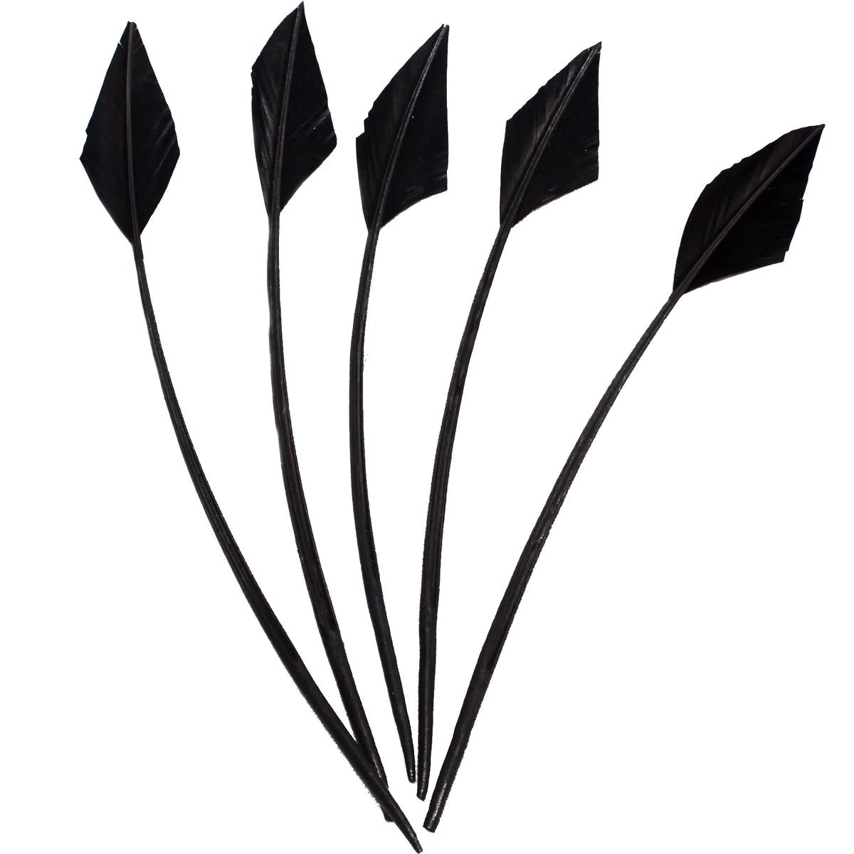 Arrowhead Turkey Feather Quill Trim — 28–33 cm