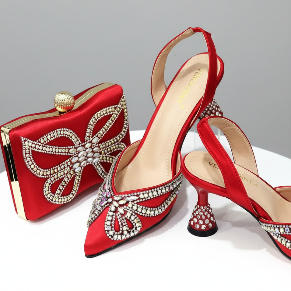 Shoes and Matching Bag Set