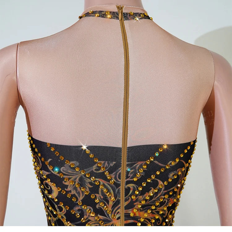 Gold Sequin Halter Bodysuit & Beaded Tassel Fringe Latin Dance Stage Costume