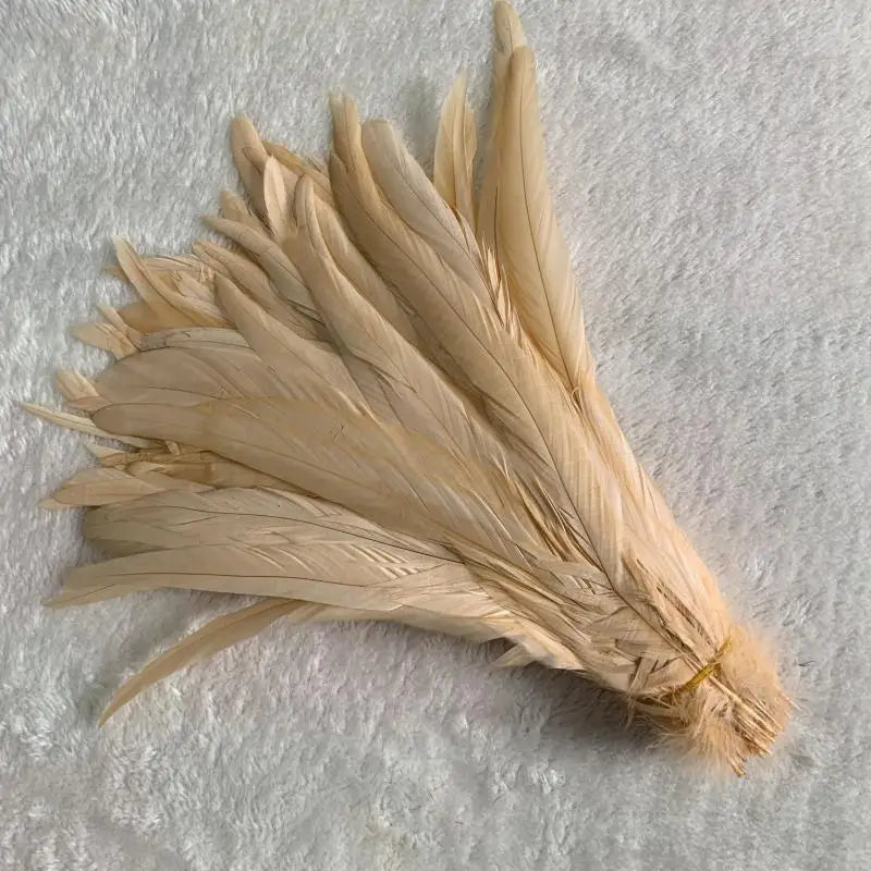 Premium Two-Tone Rooster Tail Feather Plumes (100PCS)