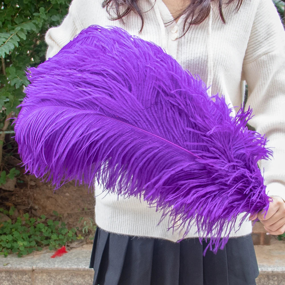 28-30IN Large Decorative Ostrich Feather Plumes