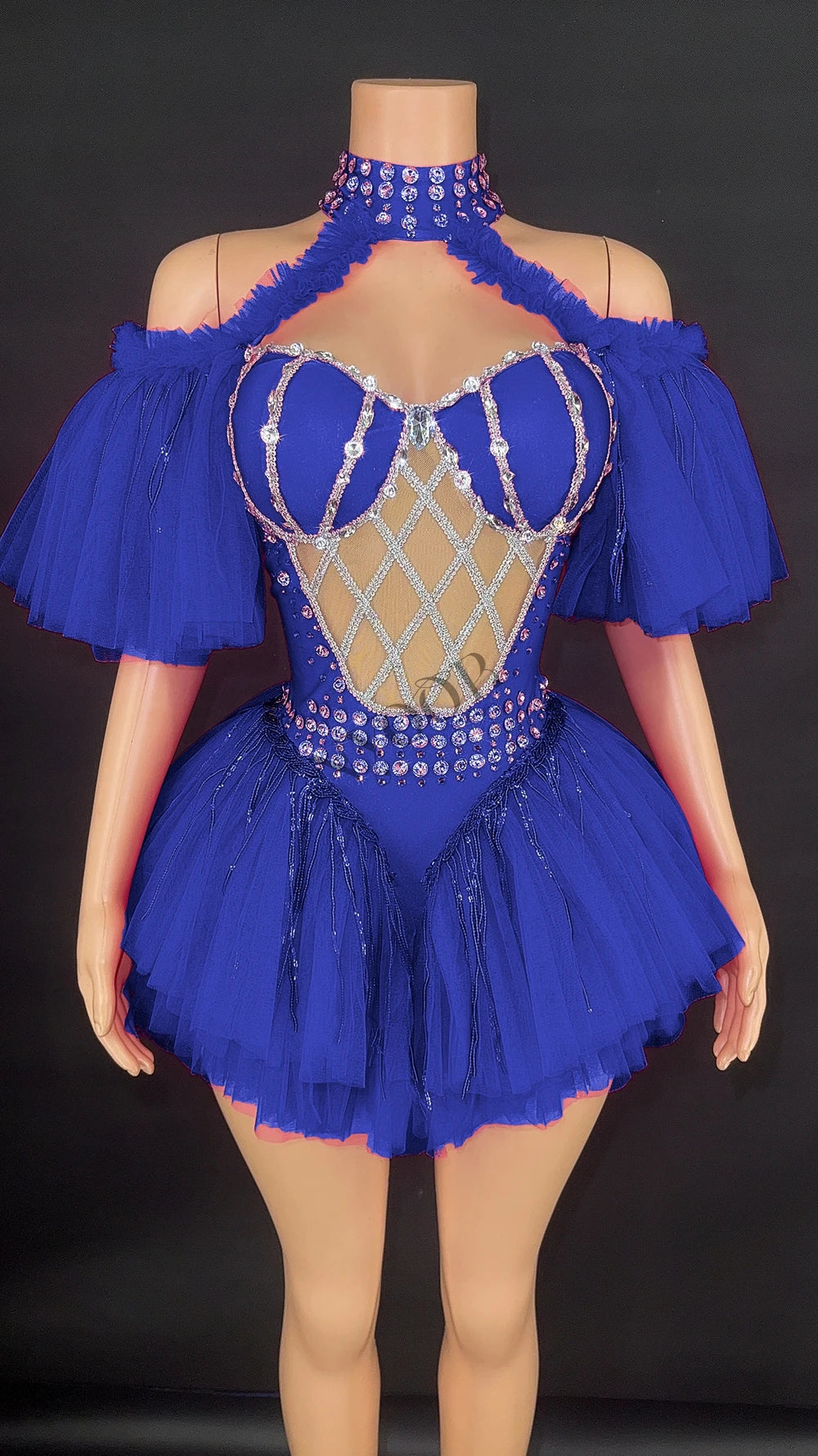 Sparkly Sequin Tassel Puff Sleeve Mesh Bodysuit Showgirl Stage Dance Leotard