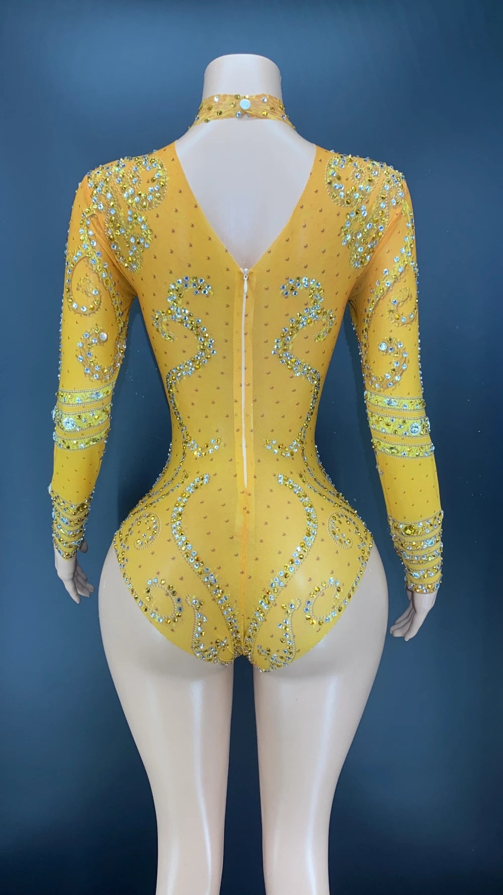 Sparkly Crystals Long-Sleeve Mesh Bodysuit Stage Performance Costume