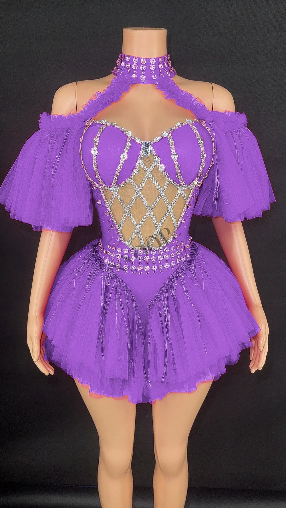 Sparkly Sequin Tassel Puff Sleeve Mesh Bodysuit Showgirl Stage Dance Leotard