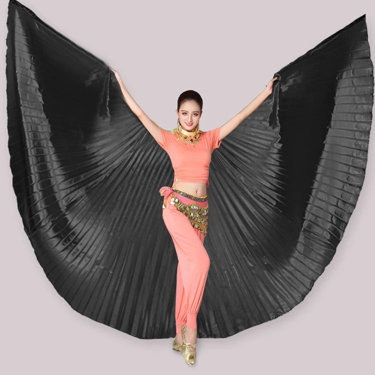 Isis Belly Dance Wings, Sticks & Bag