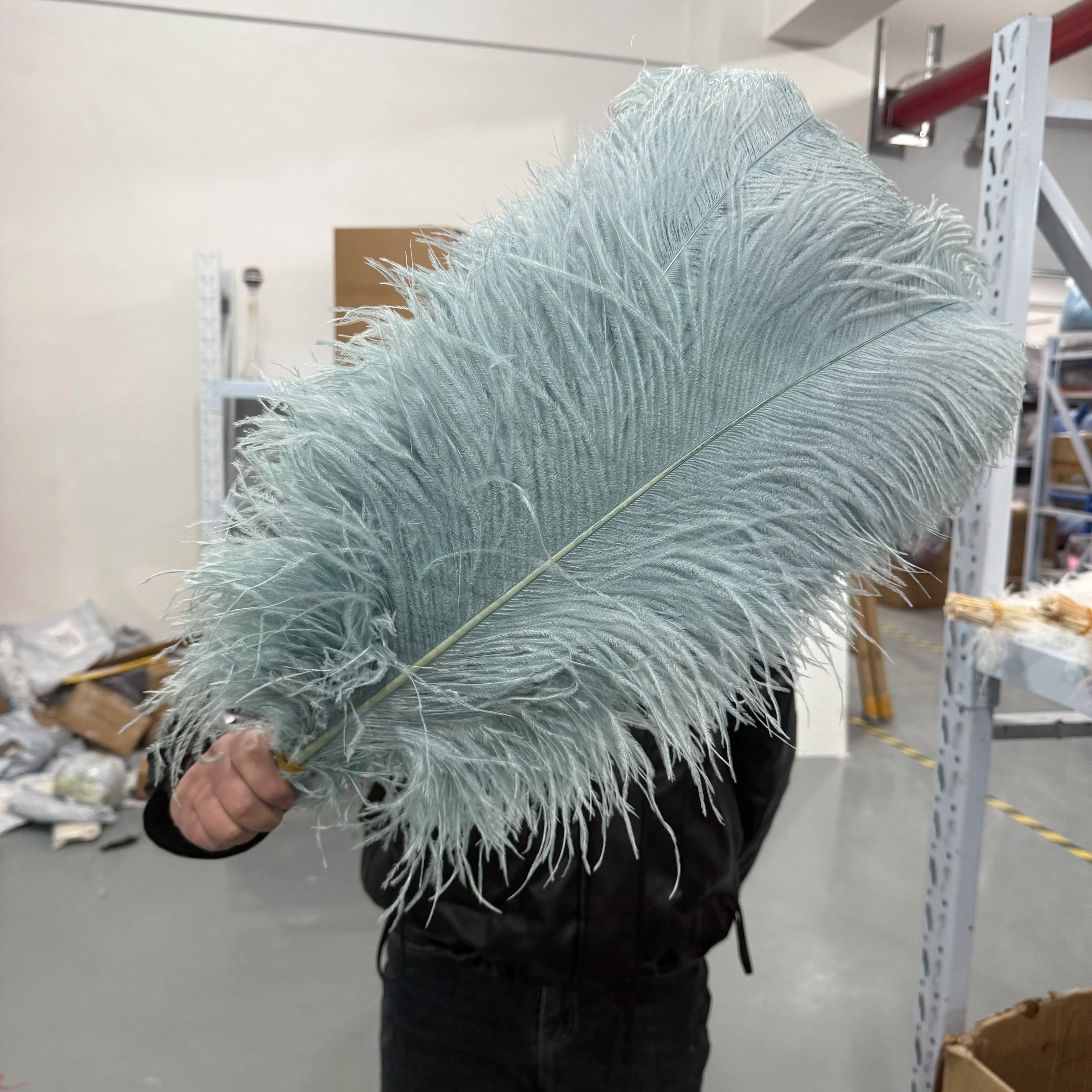 28-30IN Large Decorative Ostrich Feather Plumes