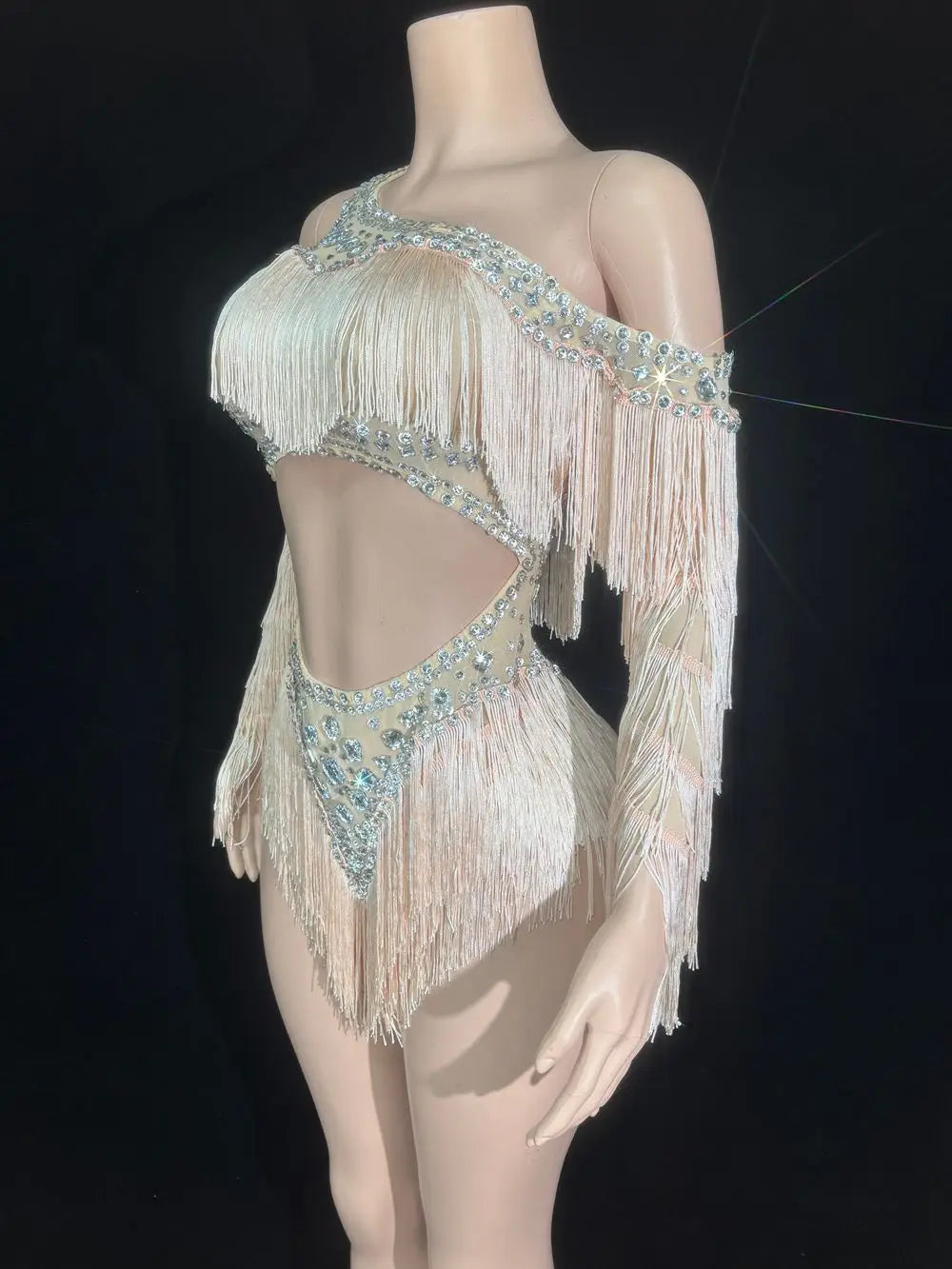 Sparkly Silver Crystal Rhinestone & Shoulder Fringe Bodysuit Stage Performance Costume