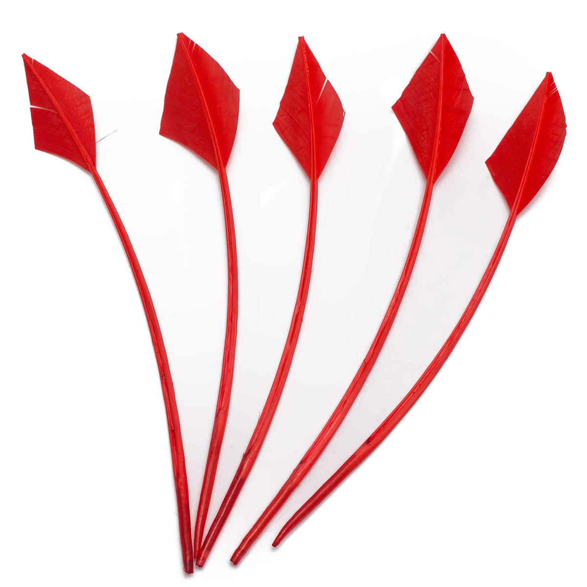 Arrowhead Turkey Feather Quill Trim — 28–33 cm